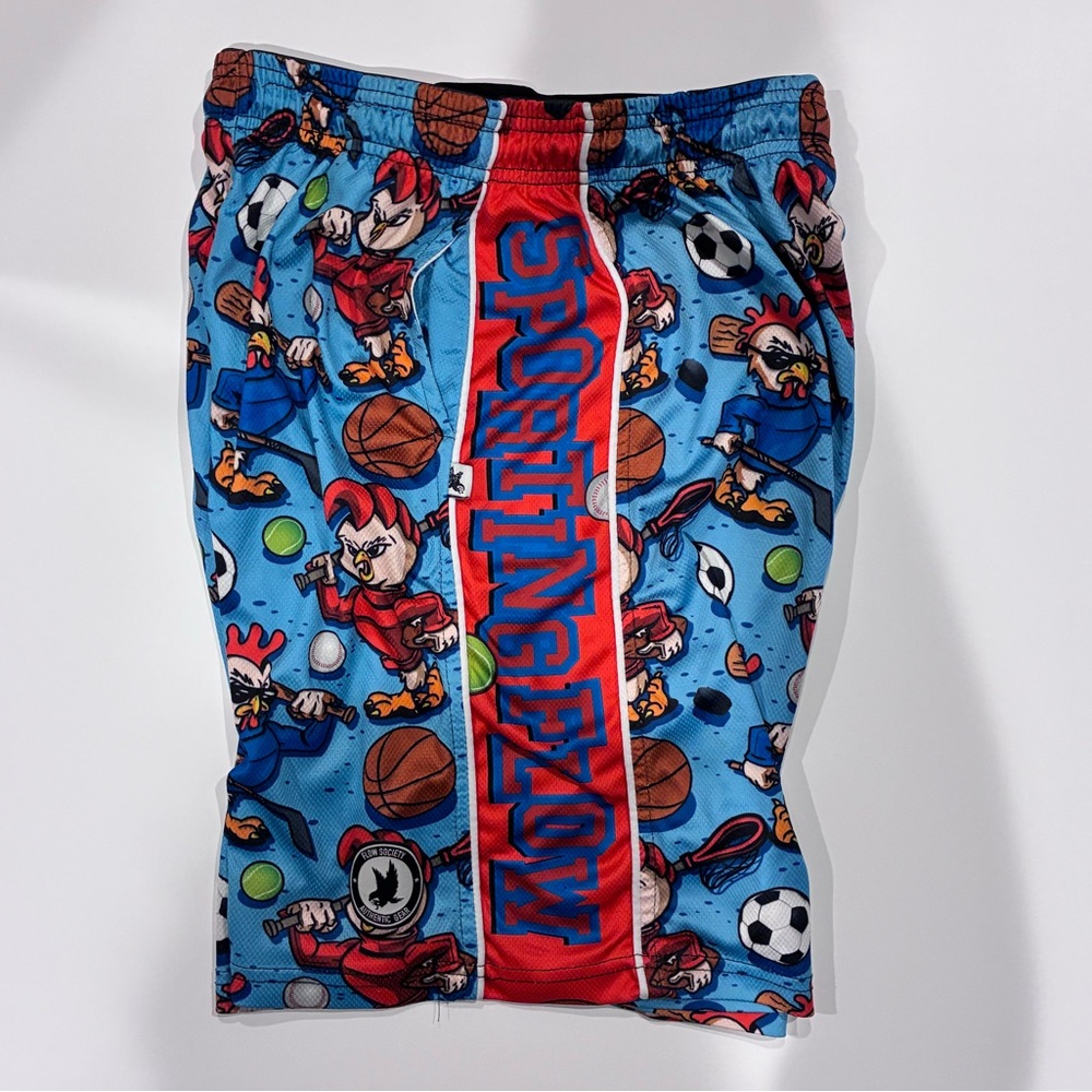 Boys LIKE NEW Flow Society Shorts sz. YXL
No tags, never worn